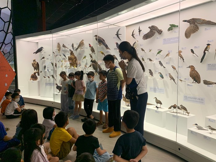 幼兒園：到底喙不喙(7/26)-圖片30