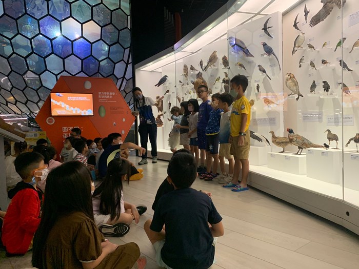 幼兒園：到底喙不喙(7/26)-圖片31