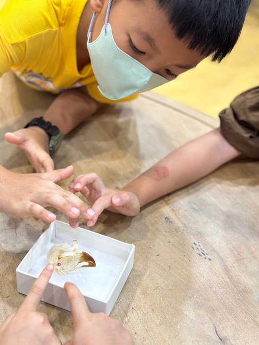 幼兒園：到底喙不喙(7/26)-圖片36