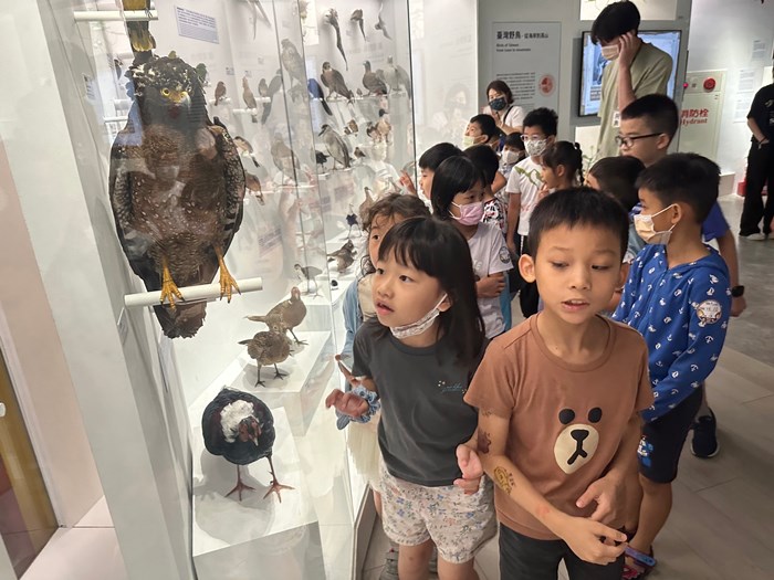 幼兒園：到底喙不喙(7/26)-圖片56
