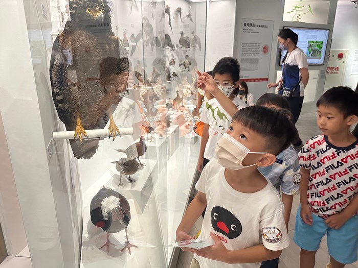 幼兒園：到底喙不喙(7/26)-圖片60