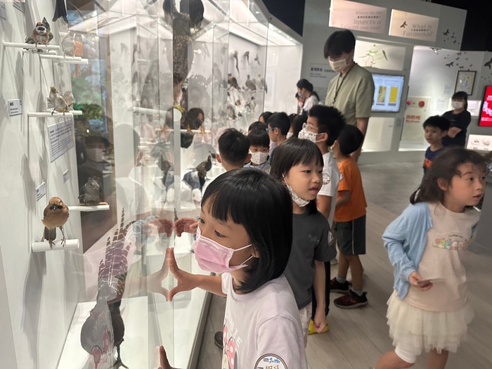 幼兒園：到底喙不喙(7/26)-圖片61