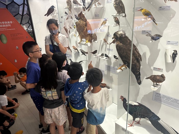 幼兒園：到底喙不喙(7/26)-圖片72