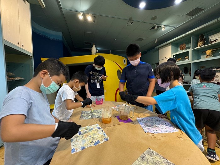 幼兒園：科學解蜜(7/31)-圖片29