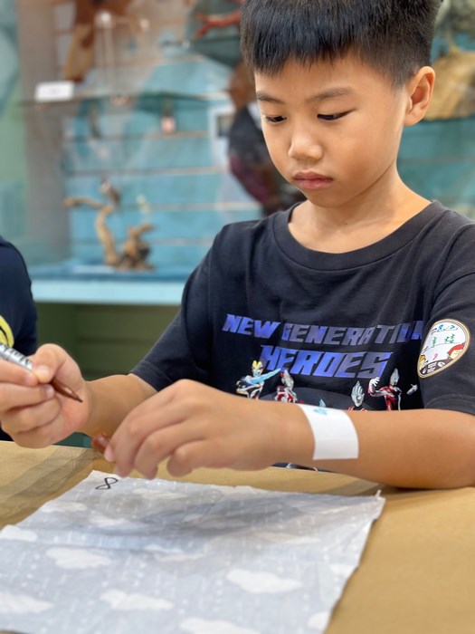 幼兒園：科學解蜜(8/2)-圖片80