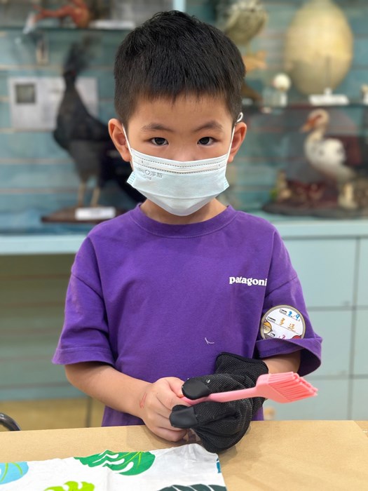幼兒園：科學解蜜(8/9)-圖片40