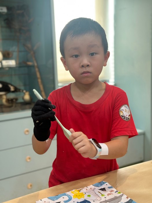 幼兒園：科學解蜜(8/9)-圖片41