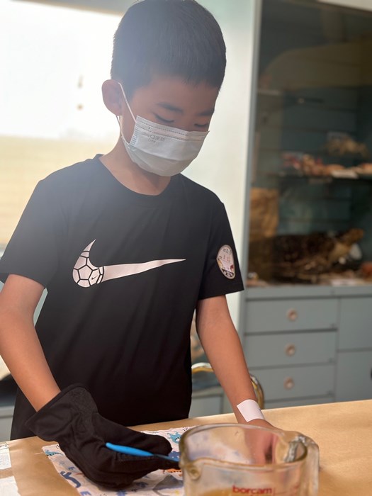 幼兒園：科學解蜜(8/9)-圖片49