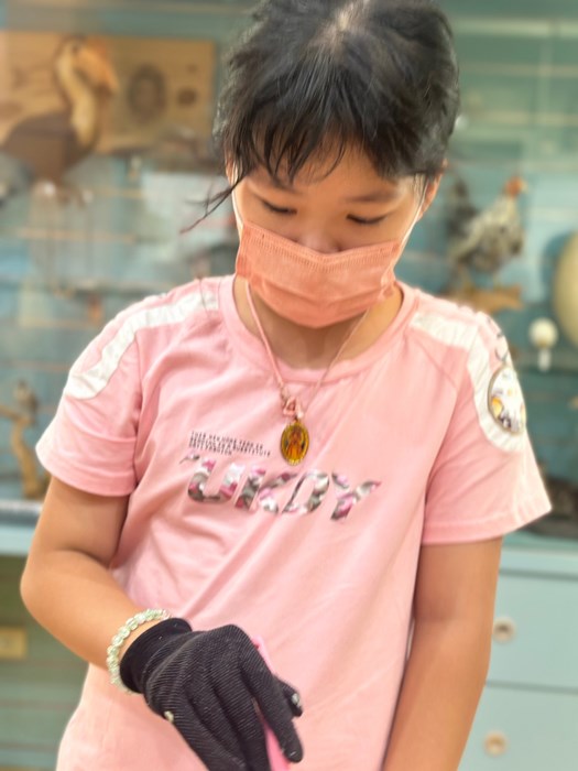 幼兒園：科學解蜜(8/9)-圖片63