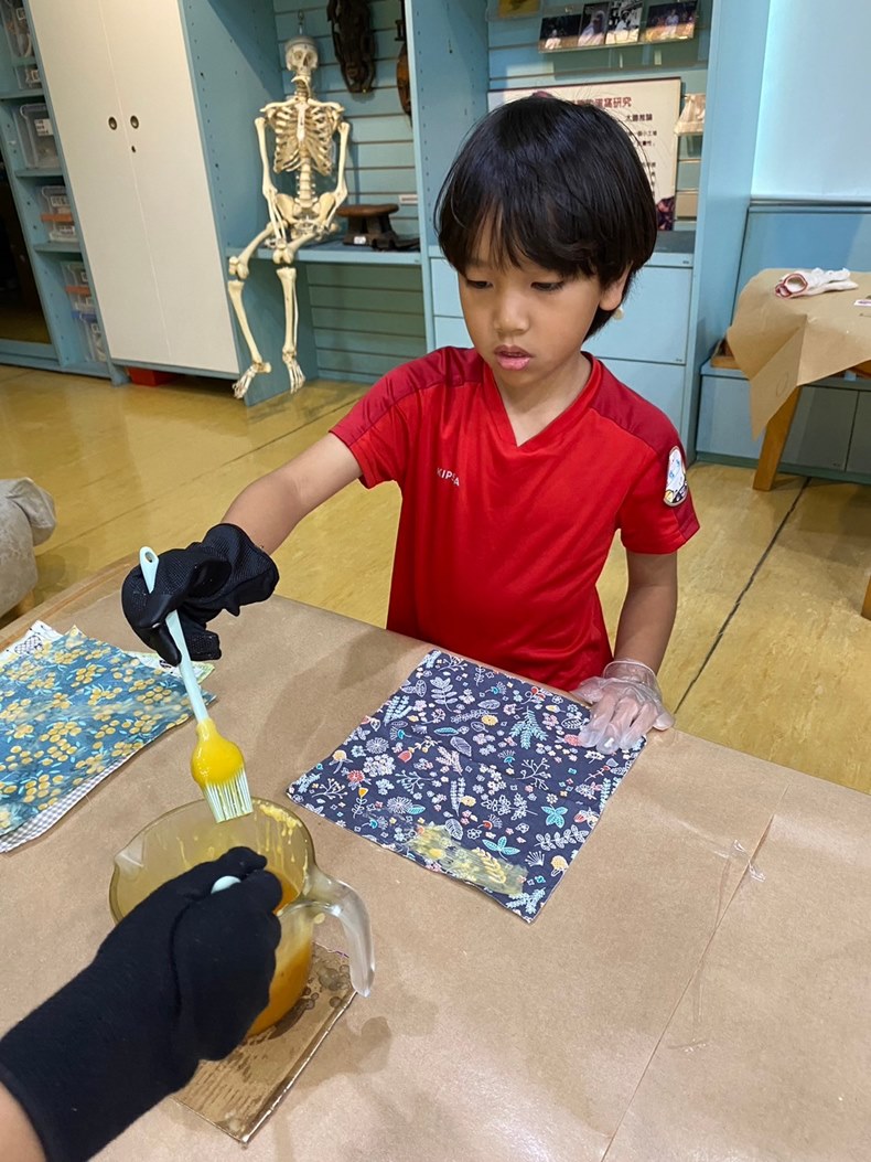幼兒園：科學解蜜(8/16)-圖片16