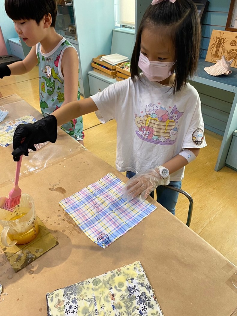 幼兒園：科學解蜜(8/16)-圖片17