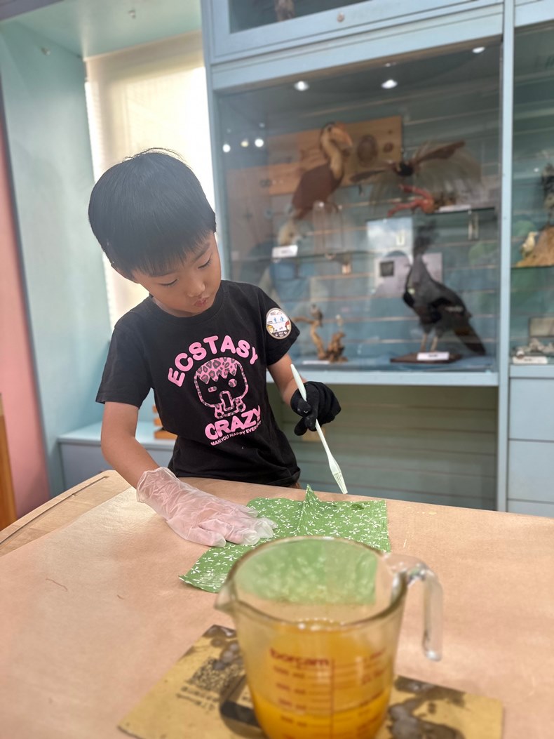 幼兒園：科學解蜜(8/16)-圖片57