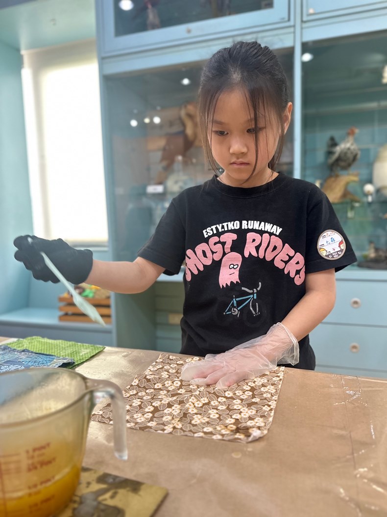 幼兒園：科學解蜜(8/16)-圖片63