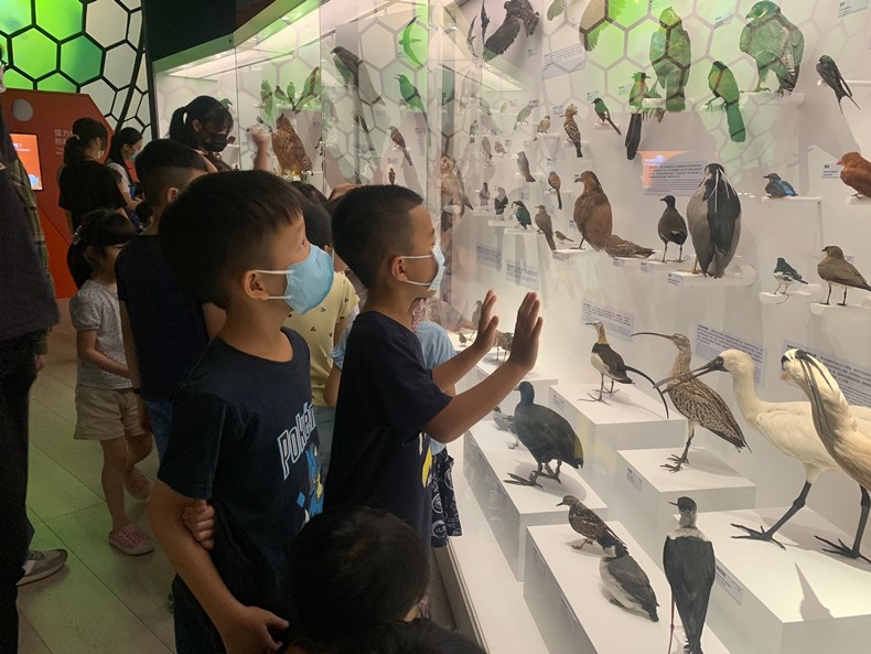 幼兒園：到底喙不喙(8/21)-圖片7