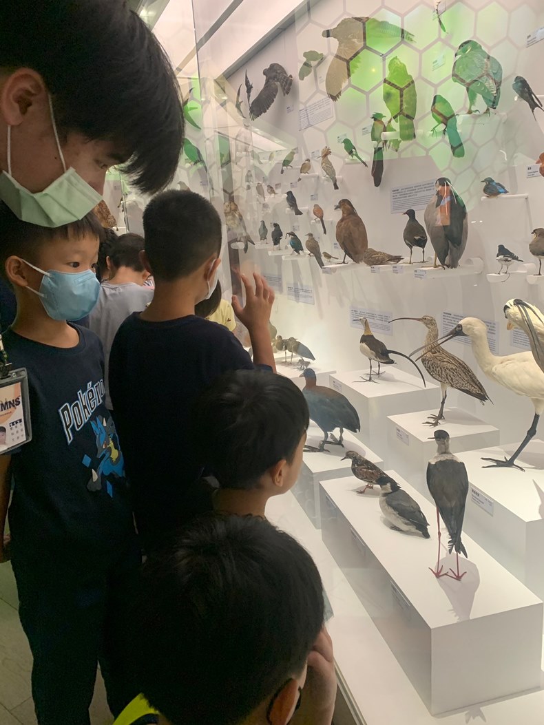 幼兒園：到底喙不喙(8/21)-圖片8