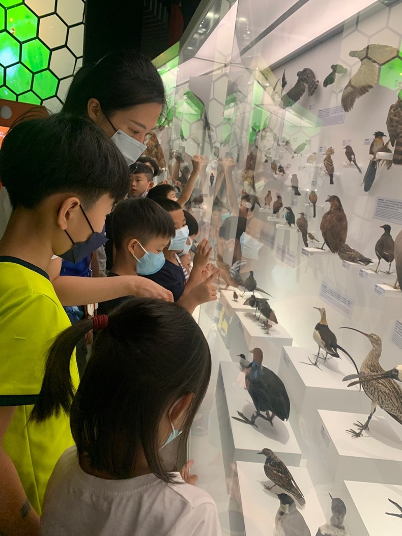 幼兒園：到底喙不喙(8/21)-圖片9