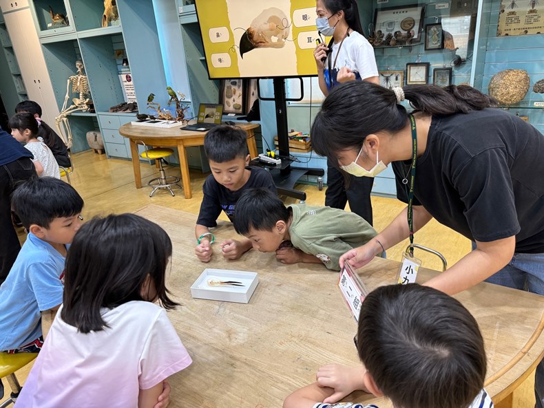 幼兒園：到底喙不喙(8/21)-圖片18