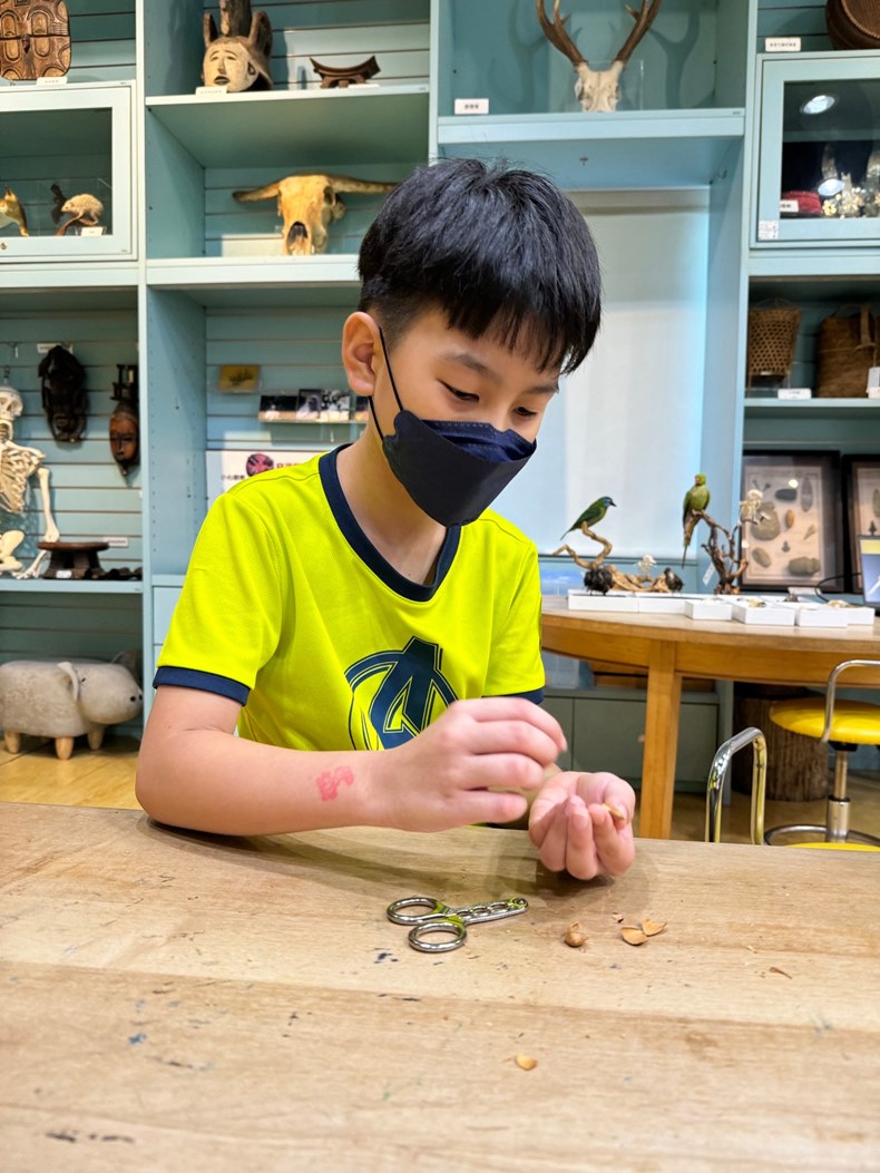 幼兒園：到底喙不喙(8/21)-圖片26