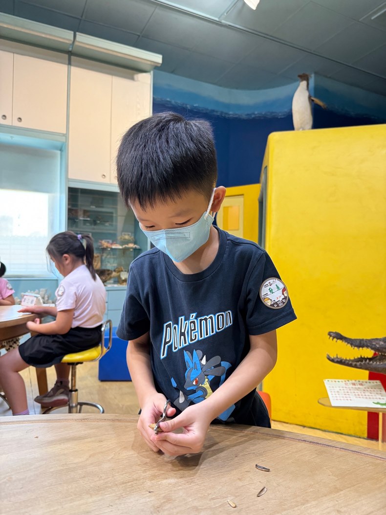 幼兒園：到底喙不喙(8/21)-圖片28