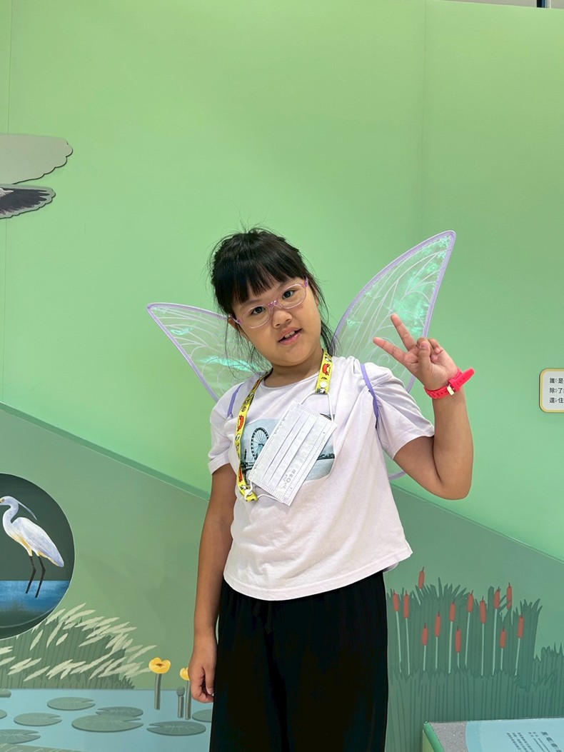 幼兒園： 蝴蝶的彩衣(7/11)-圖片4