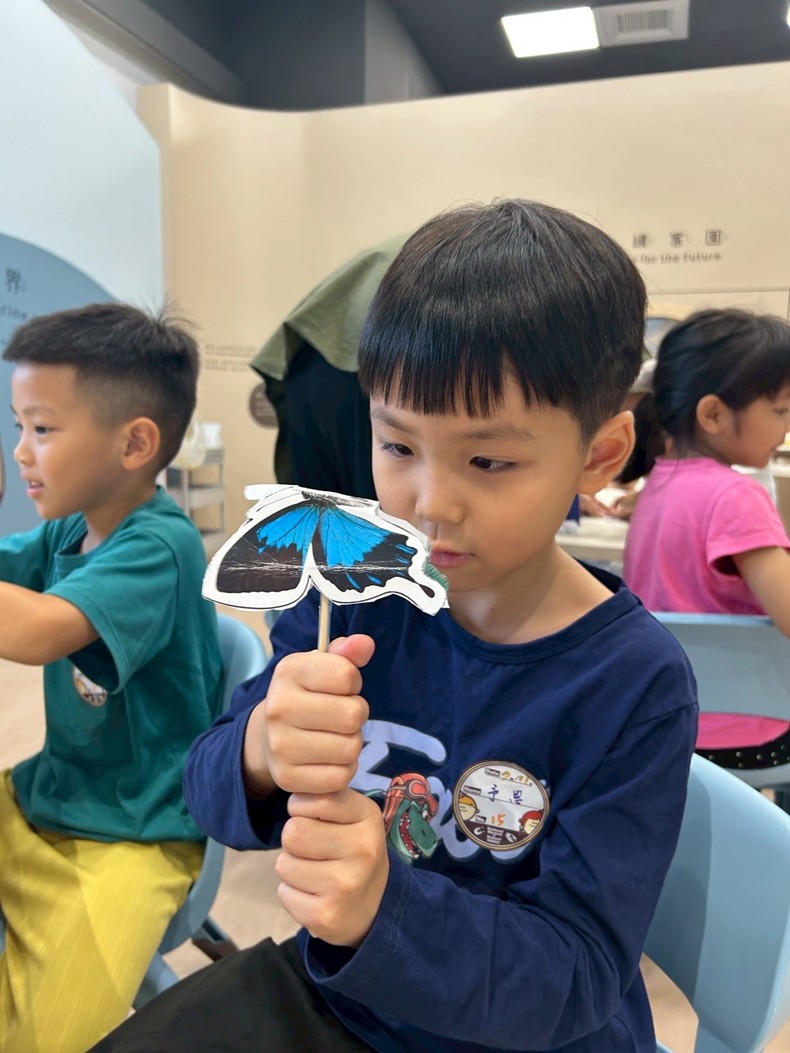 幼兒園： 蝴蝶的彩衣(7/11)-圖片31