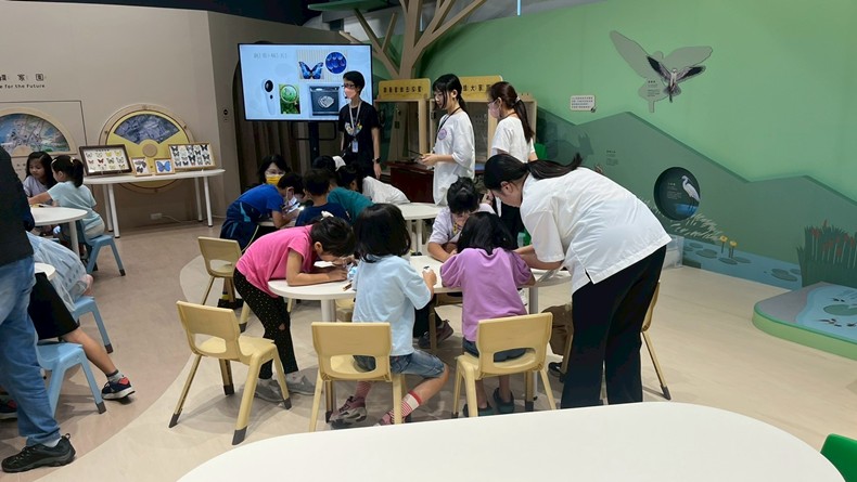 幼兒園： 蝴蝶的彩衣(7/11)-圖片43