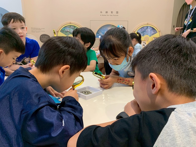 幼兒園： 蝴蝶的彩衣(7/11)-圖片81