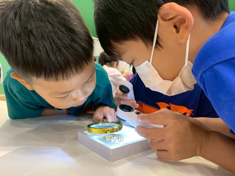 幼兒園： 蝴蝶的彩衣(7/11)-圖片84