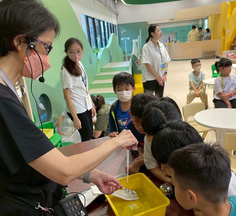 幼兒園： 蝴蝶的彩衣(7/11)-圖片106
