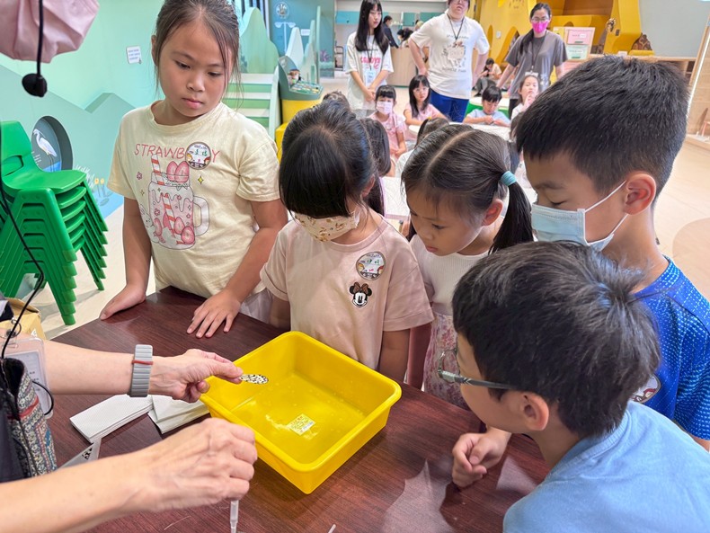 幼兒園： 蝴蝶的彩衣(7/16)-圖片79