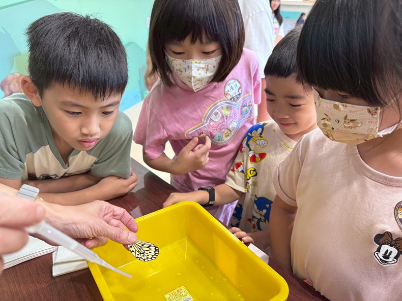 幼兒園： 蝴蝶的彩衣(7/16)-圖片80