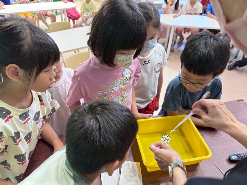幼兒園： 蝴蝶的彩衣(7/16)-圖片81