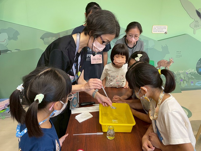 幼兒園： 蝴蝶的彩衣(7/18)-圖片49