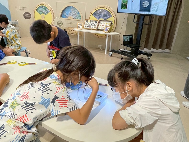 幼兒園： 蝴蝶的彩衣(7/18)-圖片55