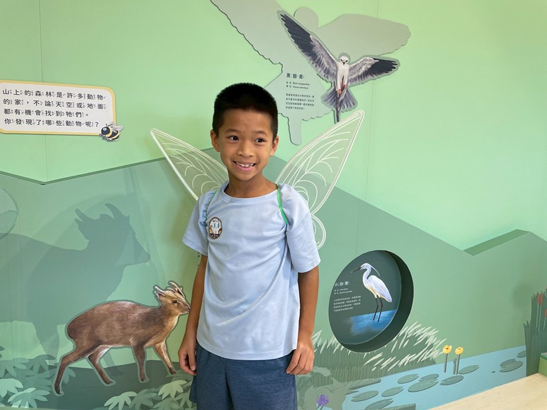 幼兒園： 蝴蝶的彩衣(7/18)-圖片78
