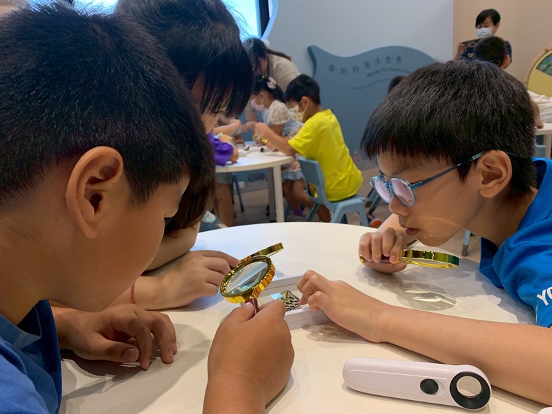 幼兒園： 蝴蝶的彩衣(7/23)-圖片4