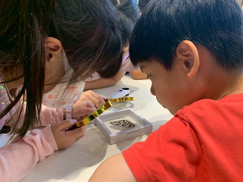 幼兒園： 蝴蝶的彩衣(7/23)-圖片5