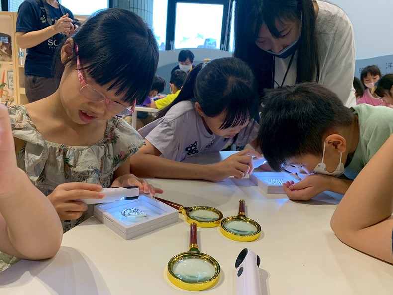 幼兒園： 蝴蝶的彩衣(7/23)-圖片8