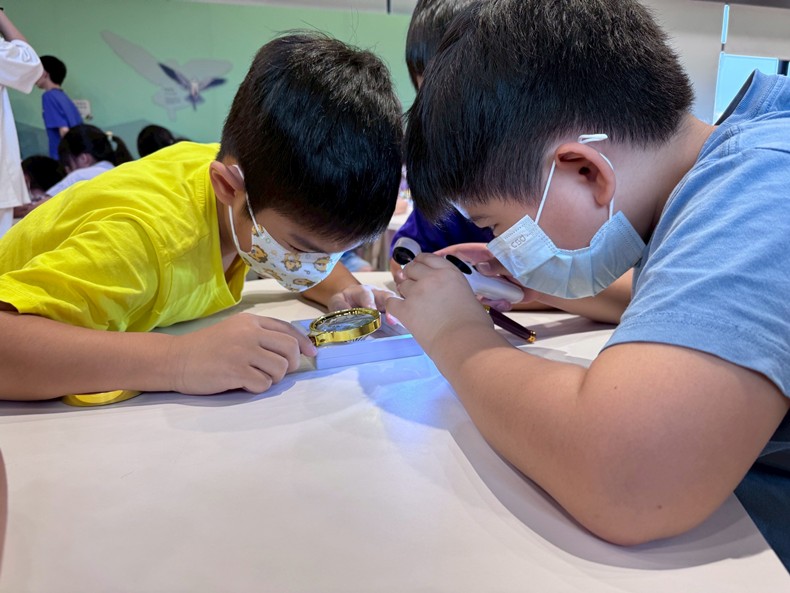 幼兒園： 蝴蝶的彩衣(7/23)-圖片97