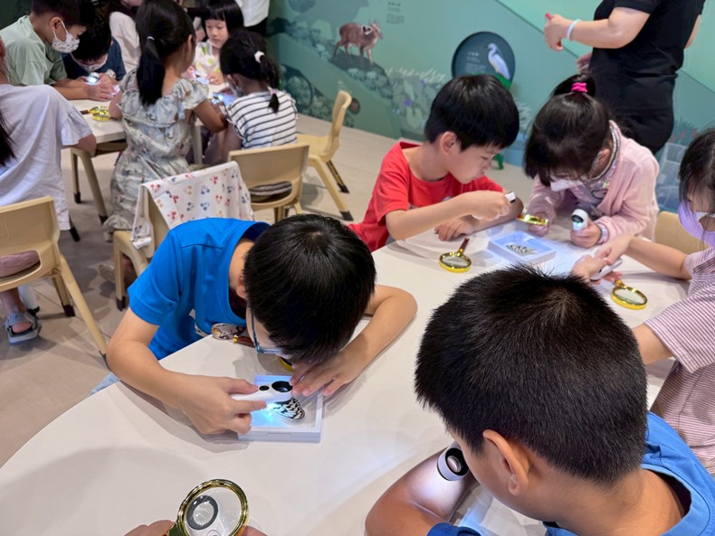 幼兒園： 蝴蝶的彩衣(7/23)-圖片100