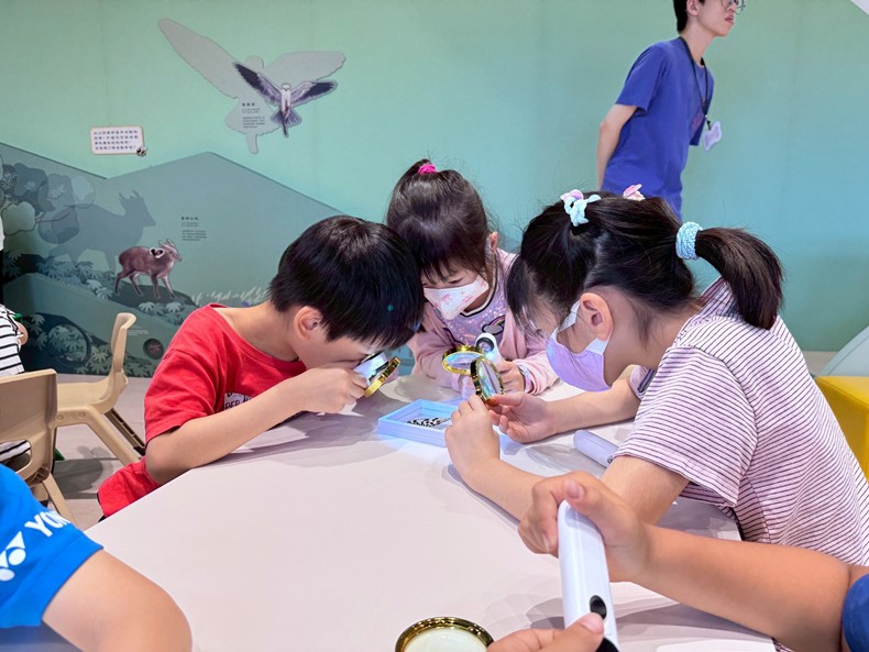 幼兒園： 蝴蝶的彩衣(7/23)-圖片101