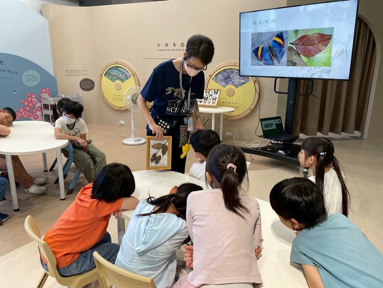 幼兒園： 蝴蝶的彩衣(7/25)-圖片70