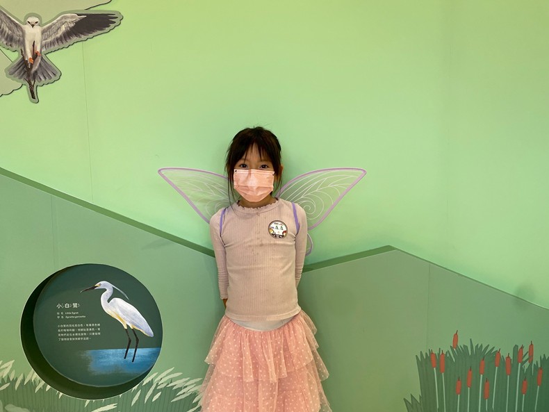 幼兒園： 蝴蝶的彩衣(7/25)-圖片81