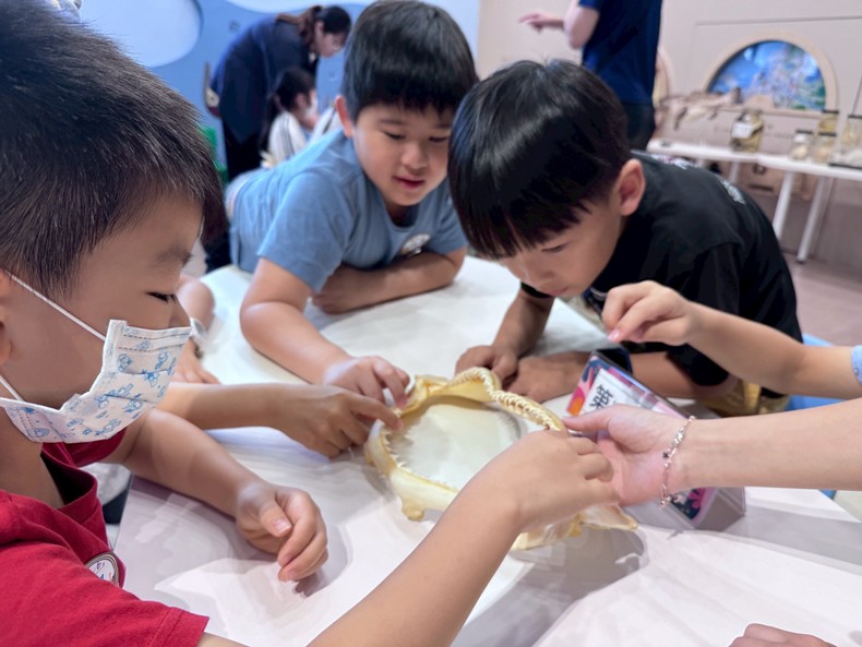 幼兒園：魚兒總動員(8/6)-圖片3