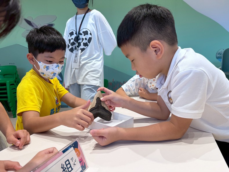 幼兒園：魚兒總動員(8/6)-圖片4