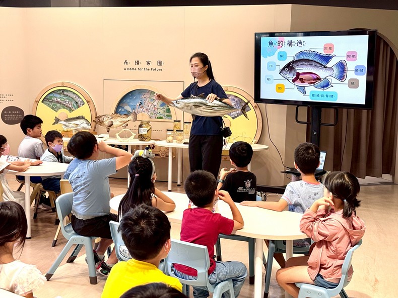 幼兒園：魚兒總動員(8/6)-圖片18