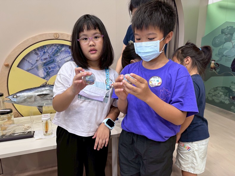 幼兒園：魚兒總動員(8/6)-圖片102