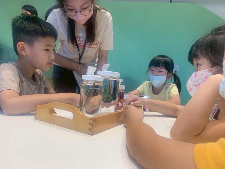 幼兒園：魚兒總動員(8/15)-圖片1