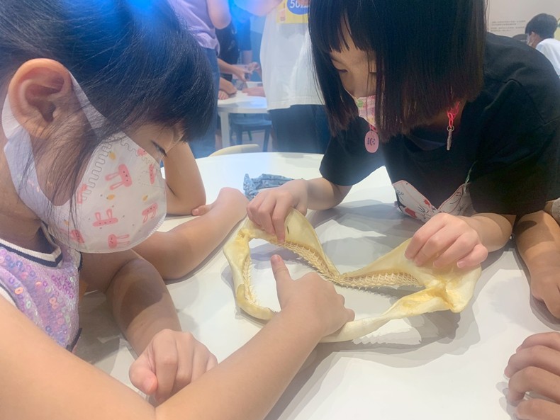 幼兒園：魚兒總動員(8/15)-圖片6