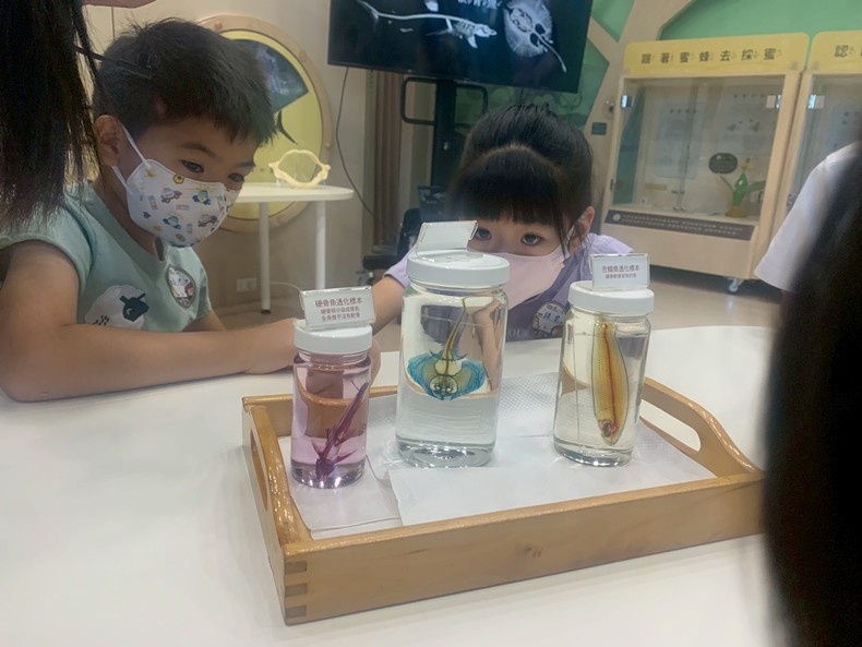 幼兒園：魚兒總動員(8/15)-圖片8